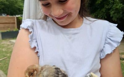 Un documentaire sur l&rsquo;école et la nature.