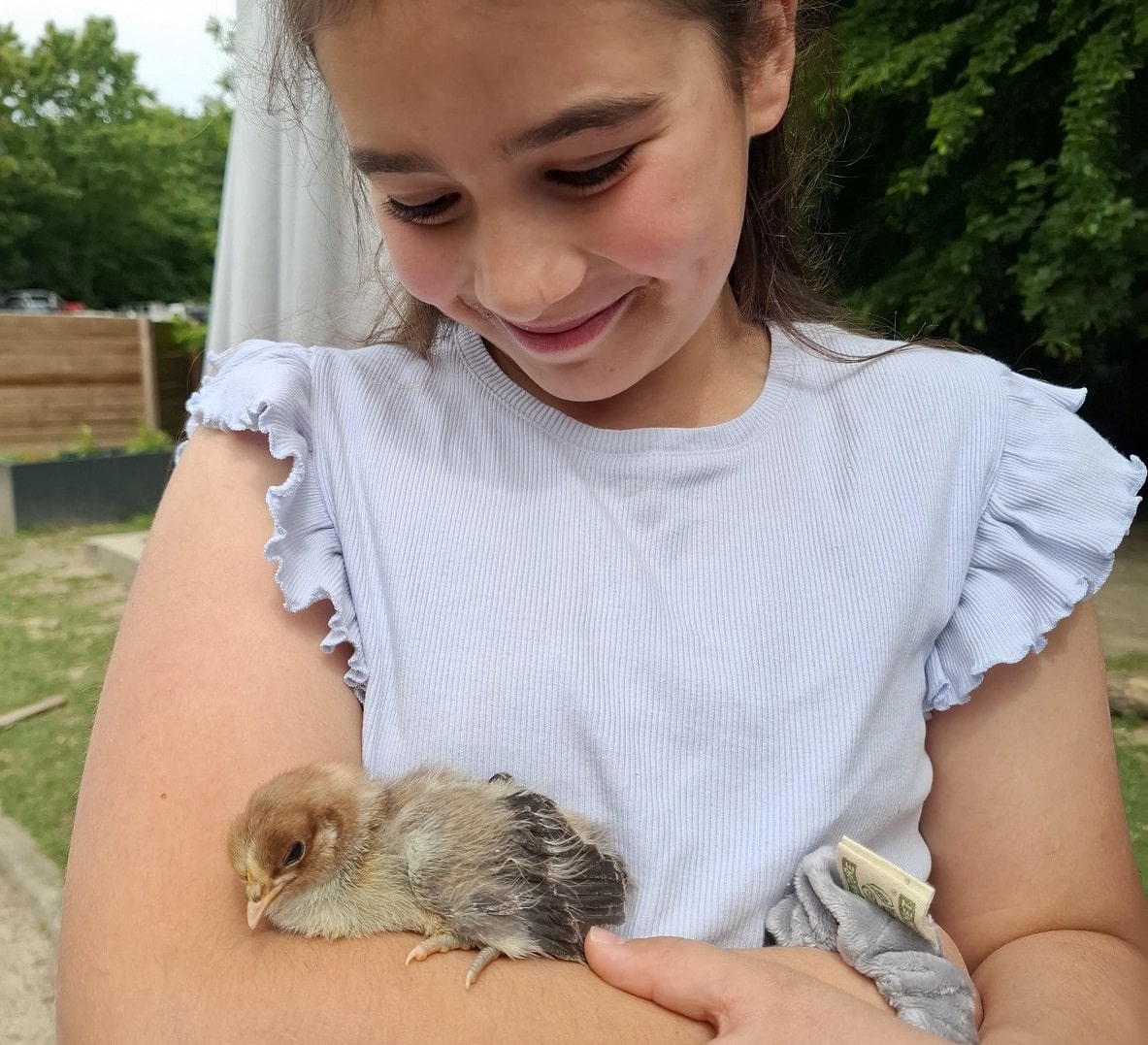 poussin dans les bras